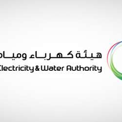 هيئة كهرباء ومياه دبي