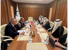 لقاء وزير الخارجية المصري ونظيره الكويتي