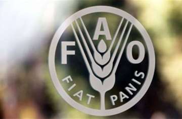 منظمة الفاو