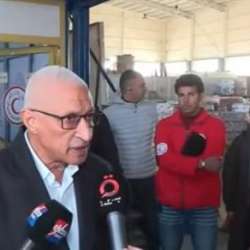 وزيرة خارجية أيرلندا ومحافظ شمال سيناء