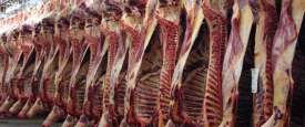    اللحوم السودانية 