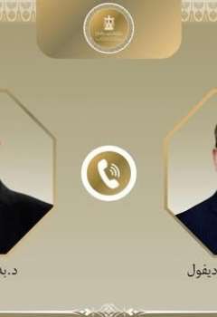 وزير الخارجية المصري ونظيره الألماني