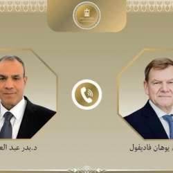 وزير الخارجية المصري ونظيره الألماني