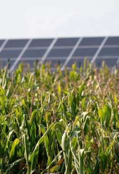 مشروع للطاقة الشمسية الكهروضوئية الزراعية 