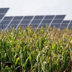 مشروع للطاقة الشمسية الكهروضوئية الزراعية 