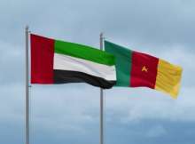 الإمارات والكاميرون