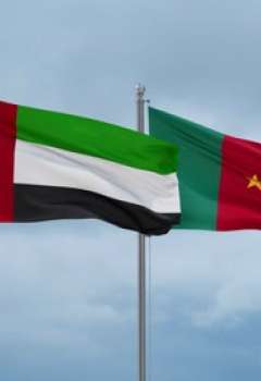 الإمارات والكاميرون