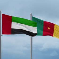 الإمارات والكاميرون