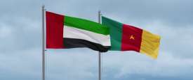 الإمارات والكاميرون