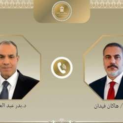 وزير الخارجية المصري ونظيره التركي