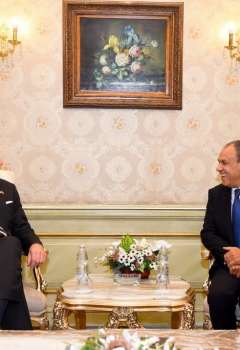 وزير الخارجية المصري ونائب وزير الخارجية الامريكي