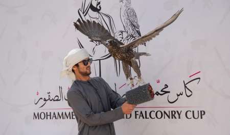  بجوائز تتجاوز 23 مليون درهم.. انطلاق كأس محمد بن راشد لسباقات الصقور في دبي