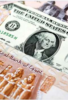 سعر الدولار أمام الجنيه المصري