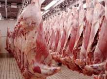 اللحوم الاسترالية