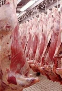 اللحوم الاسترالية