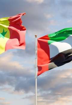 الإمارات والسنغال