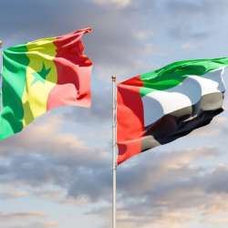 الإمارات والسنغال