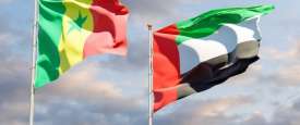 الإمارات والسنغال
