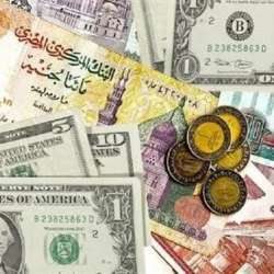 سعر الدولار