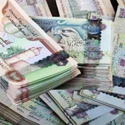 الدرهم الإماراتي