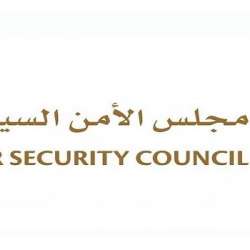 مجلس الأمن السيبراني