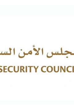 Cyber Security Council