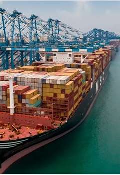 موانئ أبوظبي