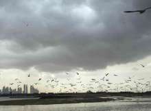 طقس الإمارات