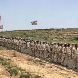 قوات إريتريا 