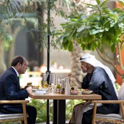   Abdel Fattah El-Sisi Sheikh Mohamed bin Zayed Al Nahyan
