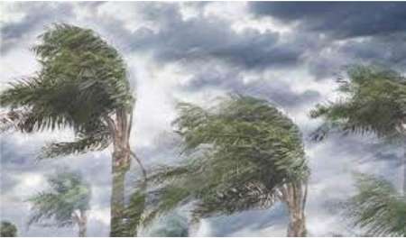 مصر: الأرصاد تكشف أسباب التقلبات الجوية في الفترة الحالية