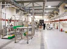 افتتاح أول مجزر في مصر وفق الكود العالمي للمجازر