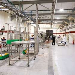 افتتاح أول مجزر في مصر وفق الكود العالمي للمجازر