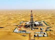 شركات قطاع البترول