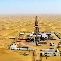 شركات قطاع البترول