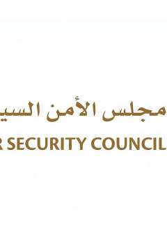 Cyber Security Council