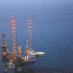 منطقة امتياز نرجس البحرية