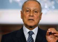 أحمد أبو الغيط