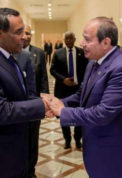 السيسي وكامل إدريس