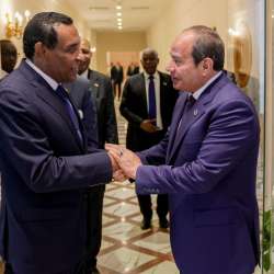 السيسي وكامل إدريس