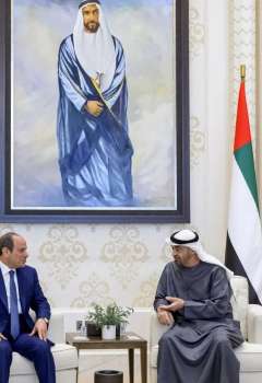 الرئيسان الإماراتي والمصري