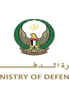 الدفاعات الجوية