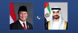 الرئيسان الإماراتي والإندونيسي