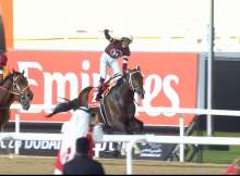 فوز ماجنيتيود بالسباق