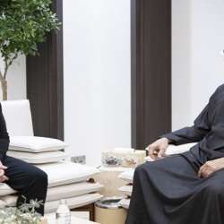 الرئيسان الإماراتي والأوكراني