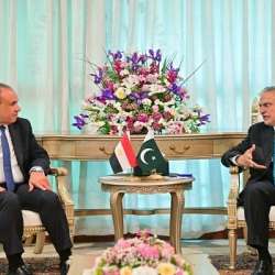 وزيرا خارجية باكستان ومصر