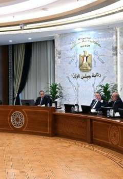 لجنة الأزمات المصرية