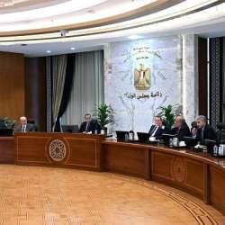 لجنة الأزمات المصرية