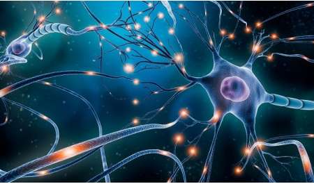 باحثون من جامعتي 