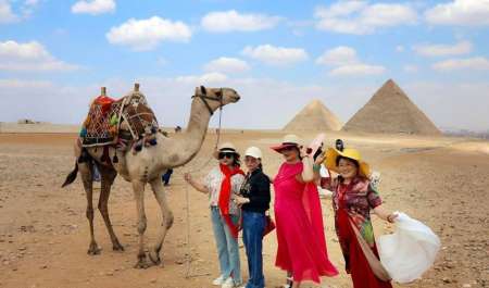 رسالة من قلب المقصد السياحي إلى العالم: مصر أمان يعيشه السائحون (فيديو)